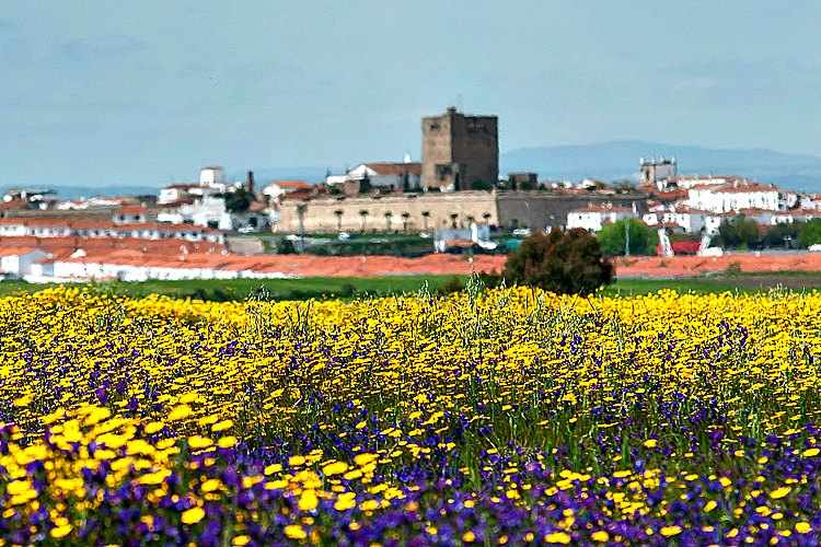 Olivenza Badajoz Olivenza Badajoz