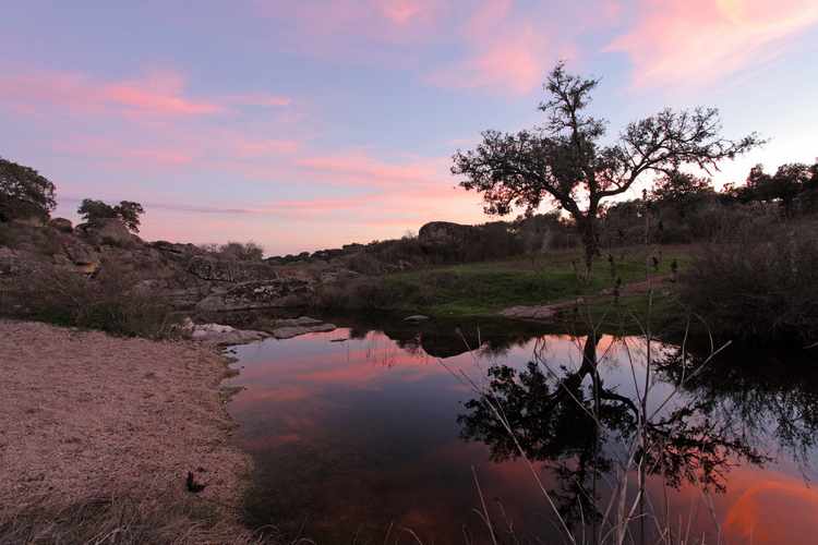 Parque Natural de Cornalvo en Badajoz Parque Natural de Cornalvo en Badajoz